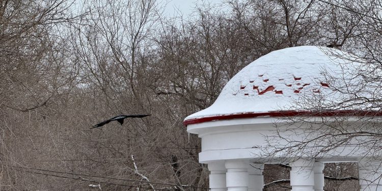 8 марта в Рязанской области ветрено и пасмурно