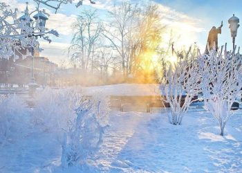 Морозы уже дошли до Рязанской области