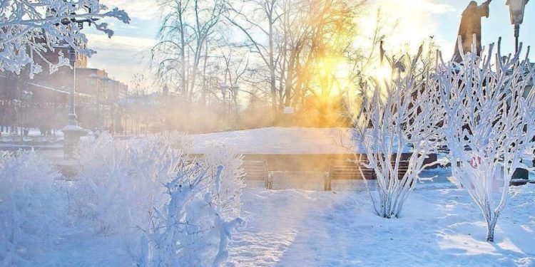 Морозы уже дошли до Рязанской области