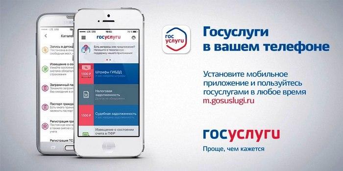 На Госуслуги с iPhone можно войти теперь только через Max