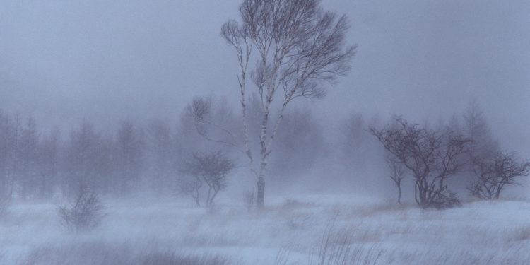 Снежная буря надвигается на Рязань