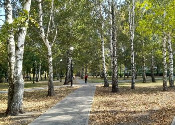 В среду в Рязанской области ожидается до +14 градусов