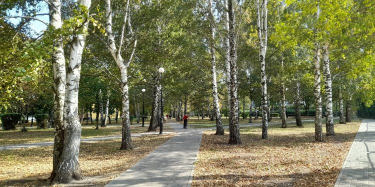 В среду в Рязанской области ожидается до +14 градусов