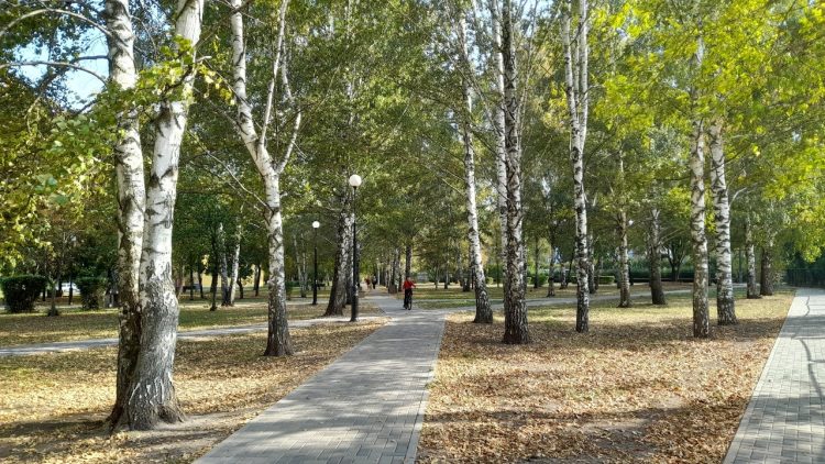 В среду в Рязанской области ожидается до +14 градусов