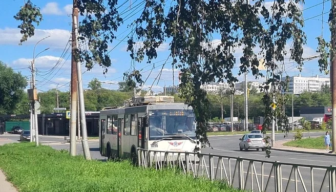 Рязанцы выживают в маршрутках-душегубках вместо троллейбусов