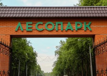 15 ноября в рязанском Лесопарке пройдет экологическая акция