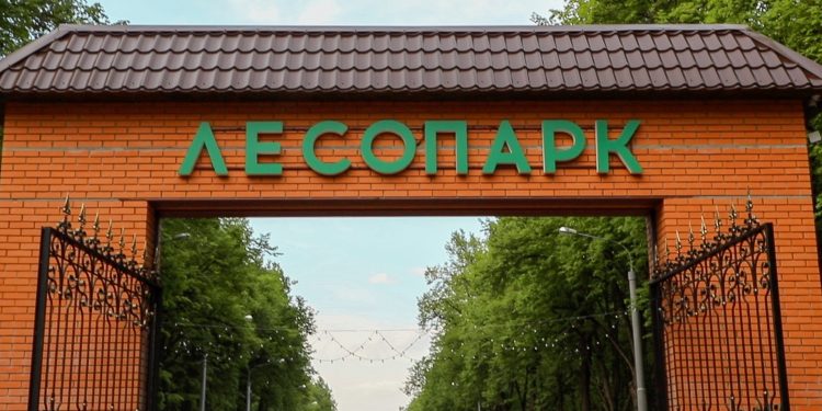 15 ноября в рязанском Лесопарке пройдет экологическая акция