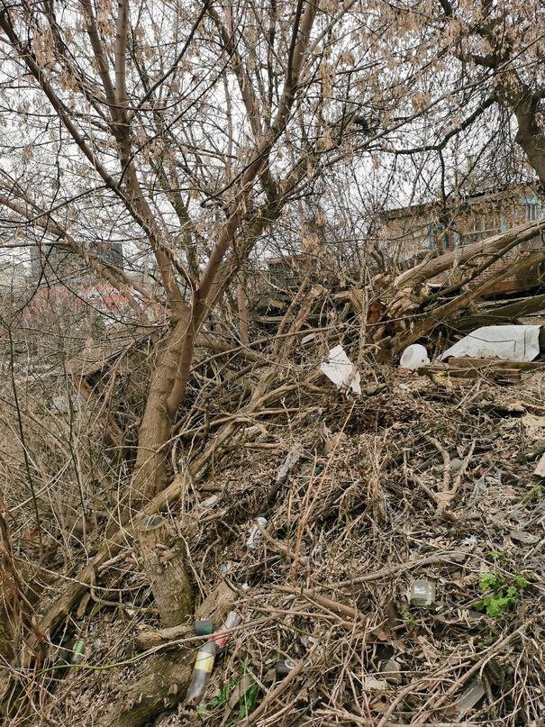 Рязанка пожаловалась на мусор и заваленные деревья на улице Новослободской