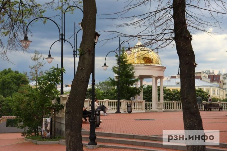 Пик июльской жары в Рязани наступит в середине месяца