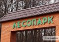 Рязанцев приглашают высадить деревья в Лесопарке