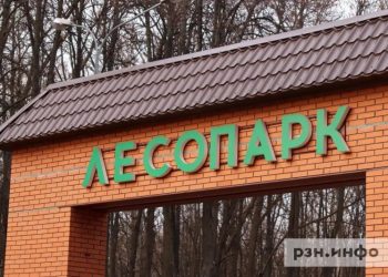 Рязанцев приглашают высадить деревья в Лесопарке