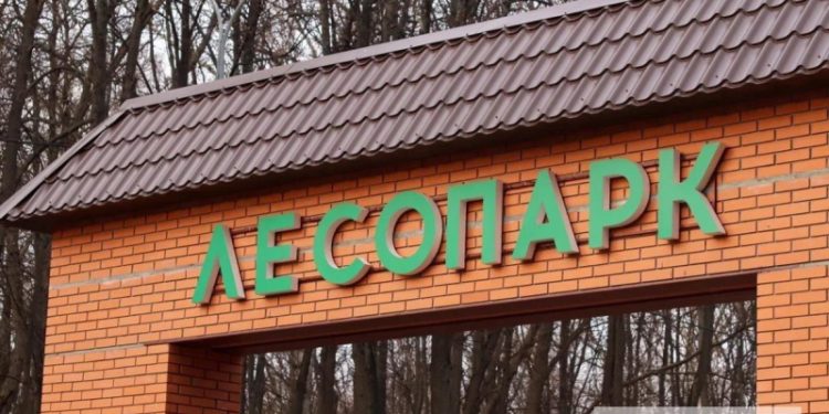 Рязанцев приглашают высадить деревья в Лесопарке