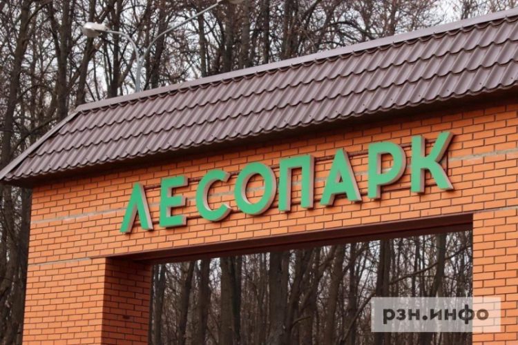 Рязанцев приглашают высадить деревья в Лесопарке