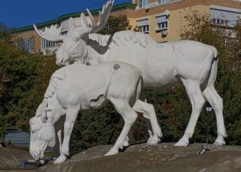 Скульптура лосей на Лыбедском бульваре вызвала вопросы у рязанцев
