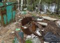 Рязанцы просят спасти Мещерский заповедник от мусора