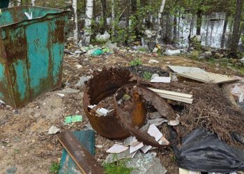 Рязанцы просят спасти Мещерский заповедник от мусора