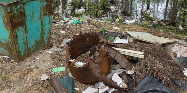 Рязанцы просят спасти Мещерский заповедник от мусора