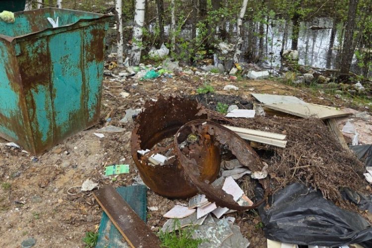 Рязанцы просят спасти Мещерский заповедник от мусора