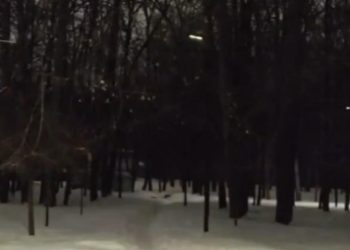 Рязанцы пожаловались на плохое освещение в парке