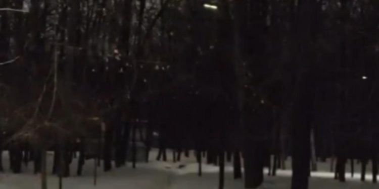 Рязанцы пожаловались на плохое освещение в парке