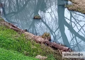 Рязанцы жалуются на вонь канализации от реки