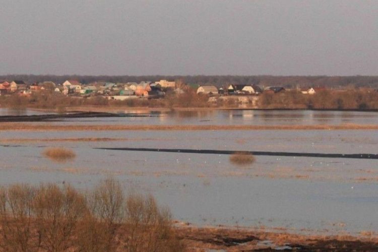 Жители Рязани оспаривают пересмотр судебного решения по карьеру
