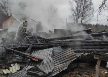 Рязанское МЧС сообщило о происшествиях за неделю