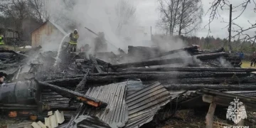 Рязанское МЧС сообщило о происшествиях за неделю