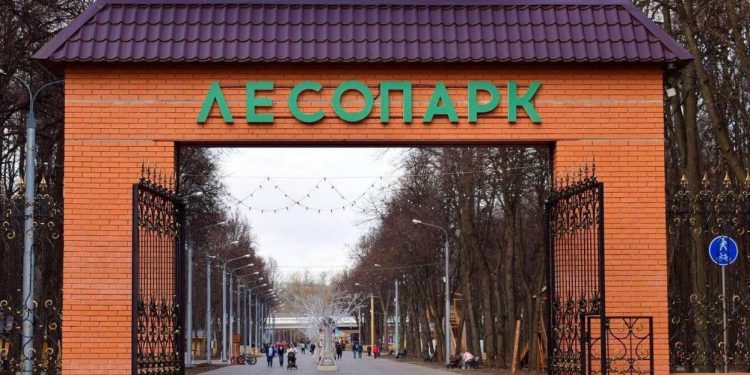 1 января в рязанском Лесопарке пройдет «трезвый забег»