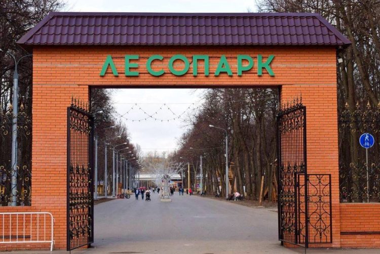 26 мая в рязанском Лесопарке пройдет забег "Спорт во благо"