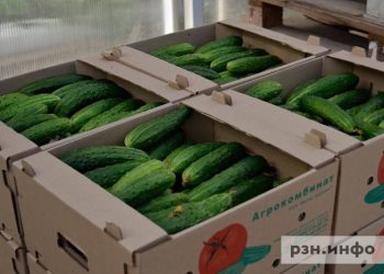 Назван самый подешевевший с начала года продукт