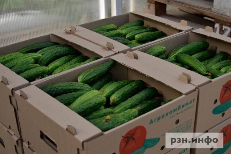 Назван самый подешевевший с начала года продукт
