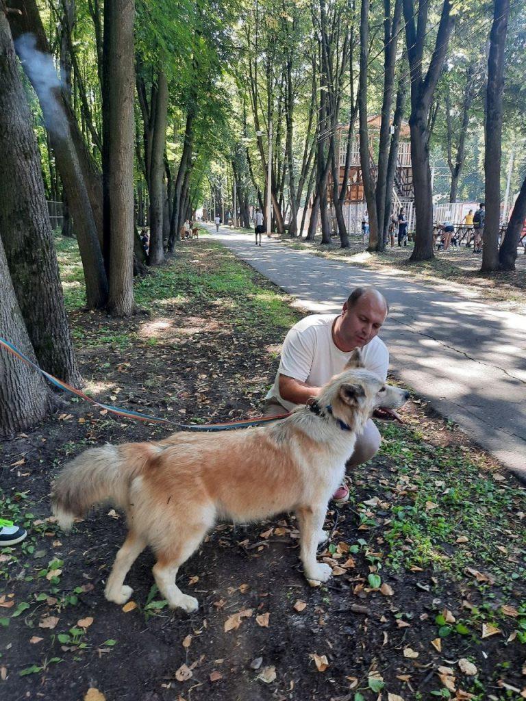 Денис Сидоров: на пикете против эвтаназии бездомных животных рязанцы собрали более 2000 подписей