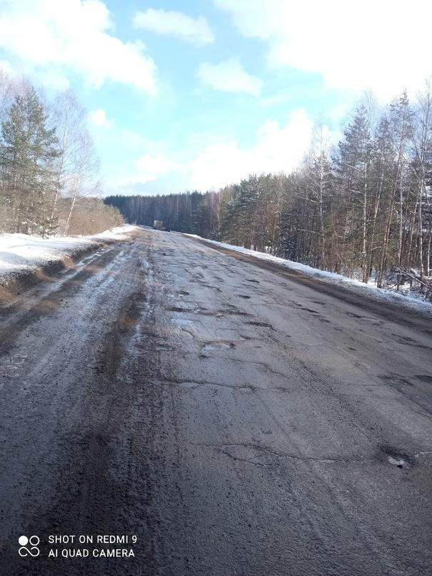 Рязанский экскурсовод Паначева сообщила об ужасном состоянии дороги, ведущей к Касимову