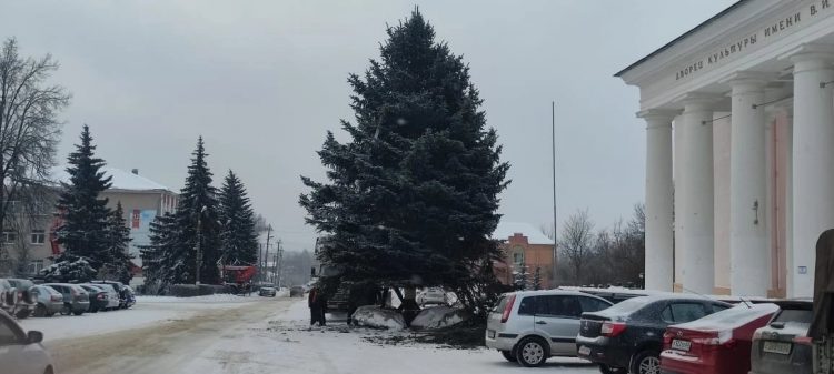 Скопинцы пожаловались на срубленную ель губернатору Малкову
