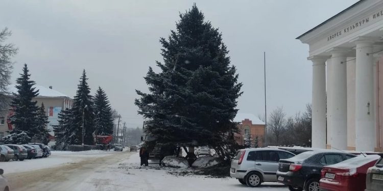 Скопинцы пожаловались на срубленную ель губернатору Малкову