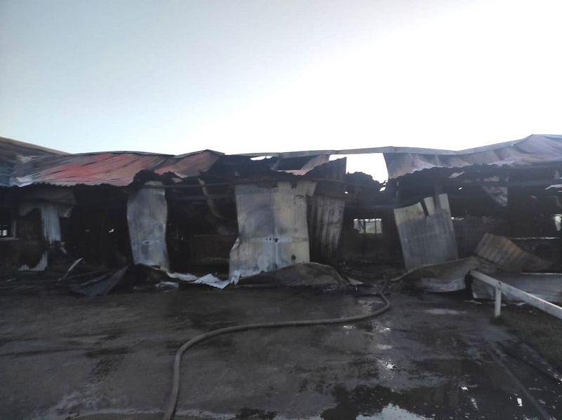 В Рязанском регионе на пожаре погибли 16 коров