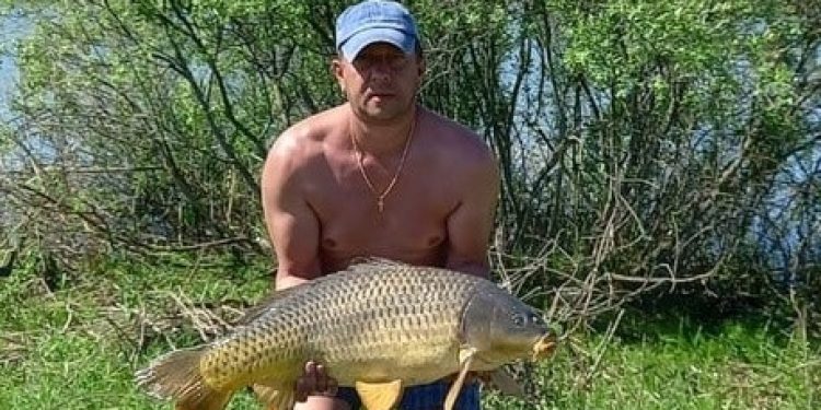 В Рязанской области рыбак выловил из пруда 13-килограммового карпа В Рязанской области рыбак выловил из пруда 13-килограммового карпа