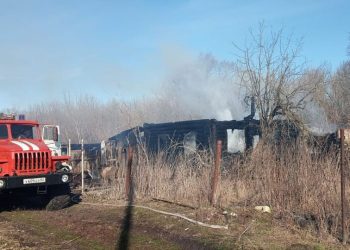 В Сараевском районе сгорел жилой дом и надворная постройка, погибли козы и собака