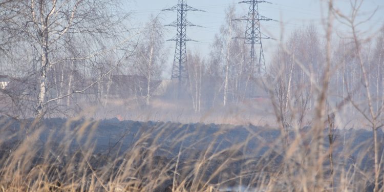В рязанском Сасове загорелось поле
