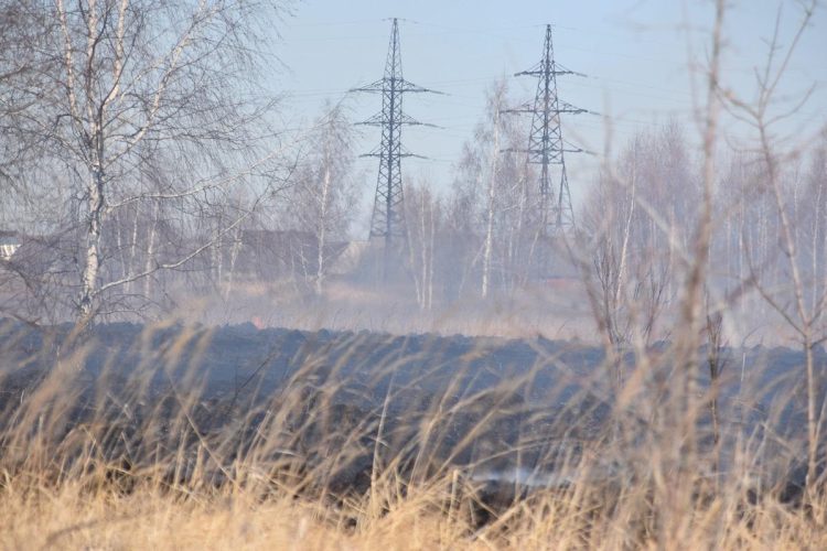 В рязанском Сасове загорелось поле