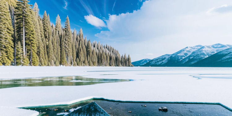 Синоптик Вильфанд спрогнозировал наступление ранней весны в Центральной России