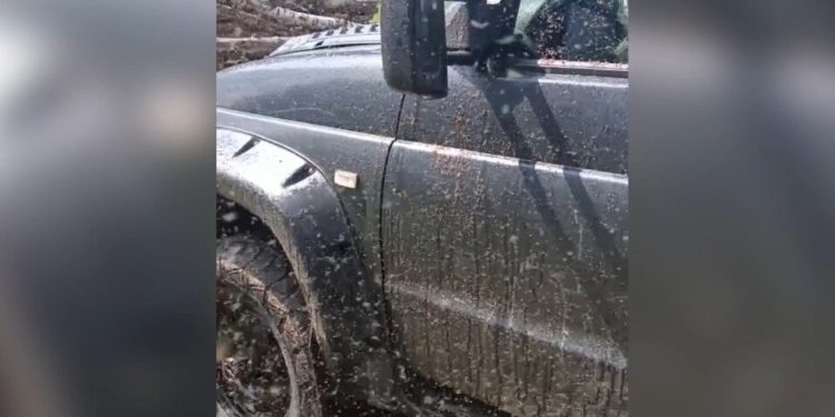 После нашествия мошек Рязанскую область накроют слепни и лосиная вошь После нашествия мошек Рязанскую область накроют слепни и лосиная вошь