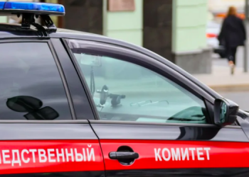 Рязанский СК установил личность матери, выбросившей младенца в мусорку Рязанский СК установил личность матери, выбросившей младенца в мусорку