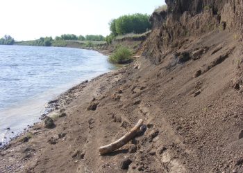 Под Рязанью рыбак обнаружил на берегу Оки бивень мамонта