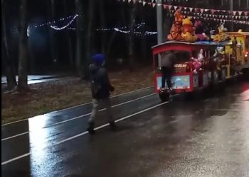 Рязанцы пожаловались на неадекватное поведение троих школьников в Лесопарке