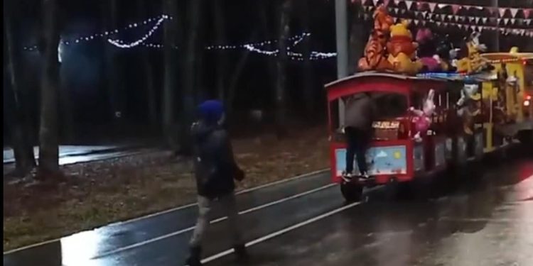 Рязанцы пожаловались на неадекватное поведение троих школьников в Лесопарке