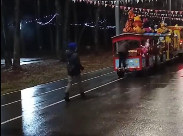 Рязанцы пожаловались на неадекватное поведение троих школьников в Лесопарке