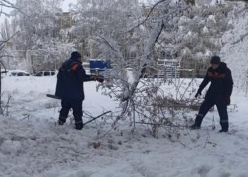 Мэрия: 25 декабря в Рязани убрали 70 рухнувших деревьев