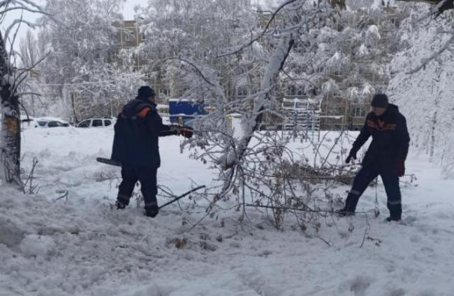 Мэрия: 25 декабря в Рязани убрали 70 рухнувших деревьев